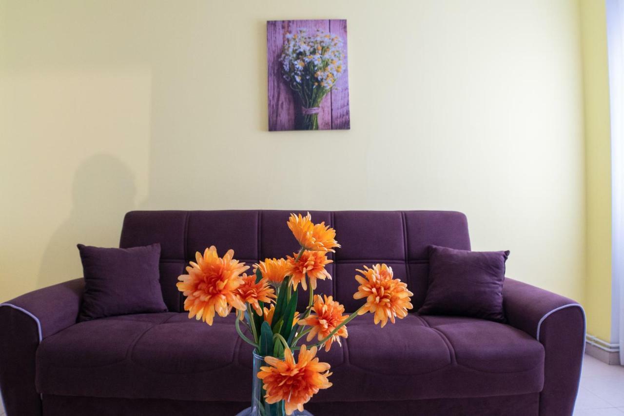 Apartamentos Enteros O Lagar Melide Εξωτερικό φωτογραφία
